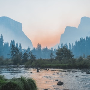 Coloração vibrante